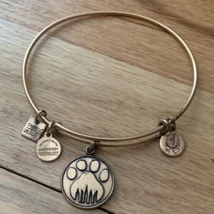 🐾 RETIRED & Rare Alex and Ani Paw Prints Bangle